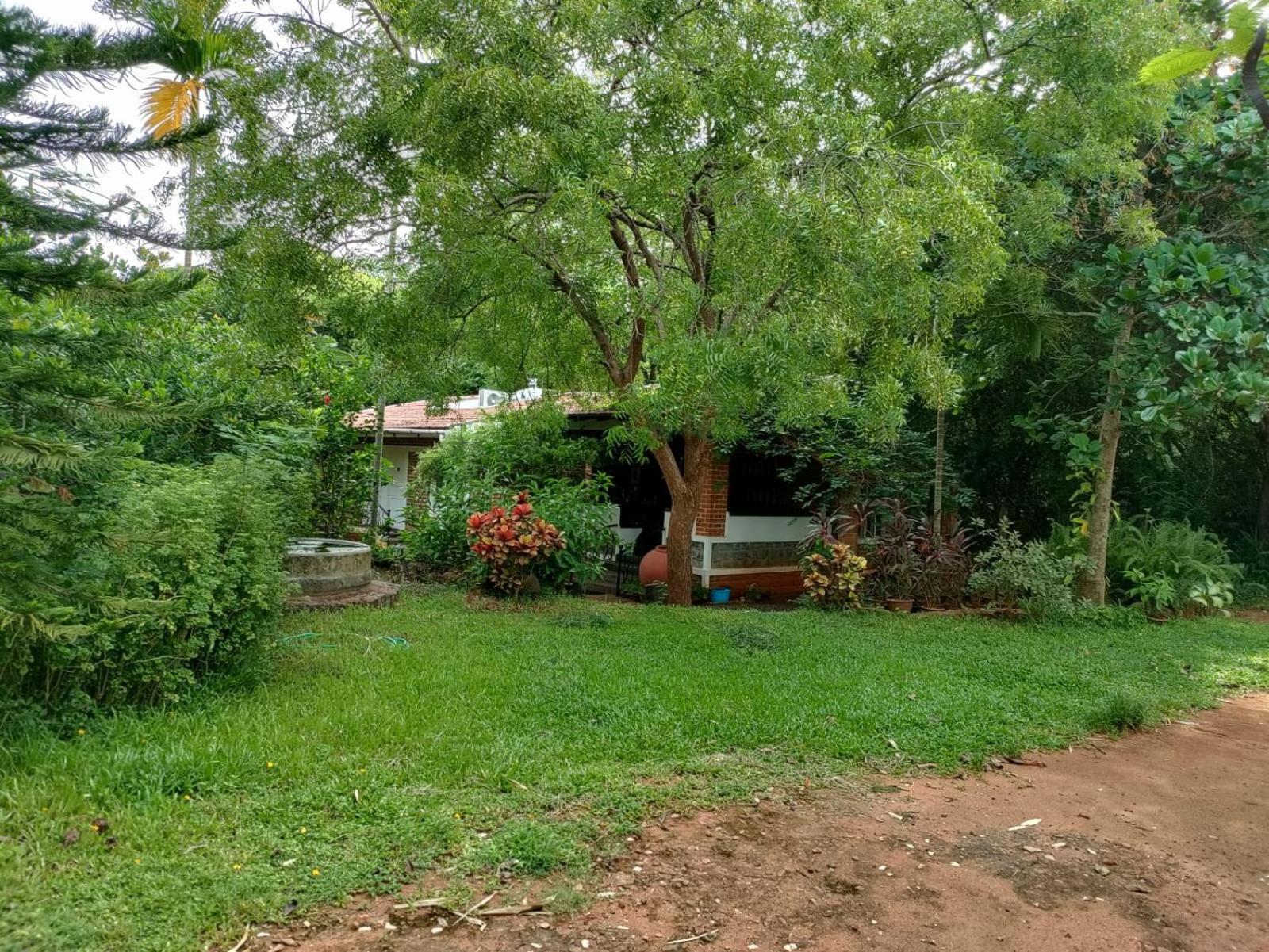 Inn Pondiville Forest Retreat Pondicherry Eksteriør bilde
