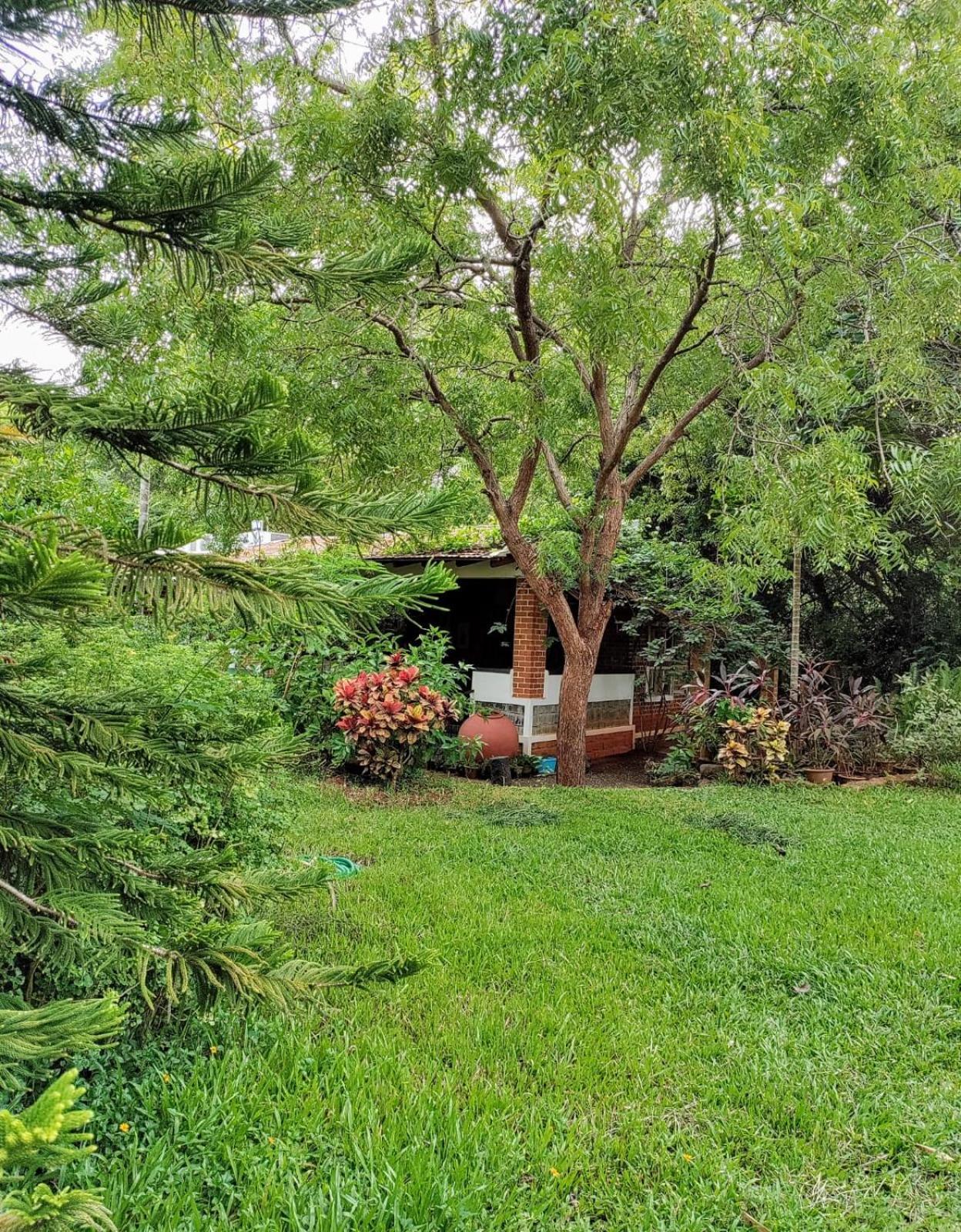 Inn Pondiville Forest Retreat Pondicherry Eksteriør bilde
