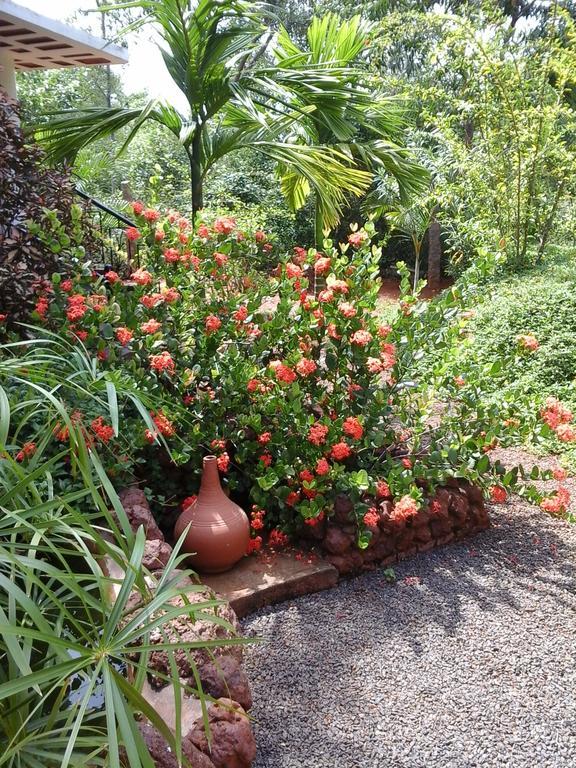 Inn Pondiville Forest Retreat Pondicherry Eksteriør bilde
